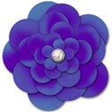 Brushed_Blue