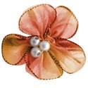 flowercucollbGirlDDD