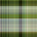 plaid089