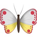 bos_gh_butterfly
