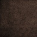 bos_gh_paper03