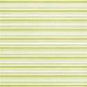 DZ_PTP_p8