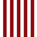 14 (1)