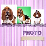 PHOTO PHOTO