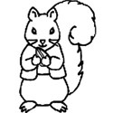 squirrel9