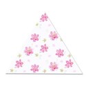 triangle 16