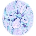 dts3