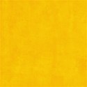 lisaminor_carnival_paper_e