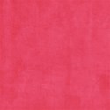 lisaminor_carnival_paper_c