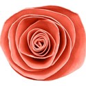 pamperedprincess_shabbystnick_flower5