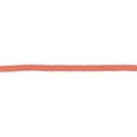 SCD_WalkinthePark_ribbon3
