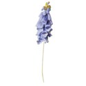 foxglove big blue