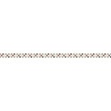 kitc_flutter_border3