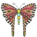 kitc_flutter_butterfly4
