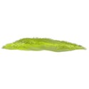 greenery 10