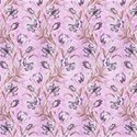 Iris 2c background