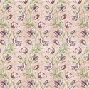 Iris 2d background
