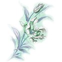 Flower 1f