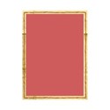 MLIVA_ingle_frame2