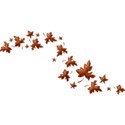 MLIVA_ingle_puffyleaves