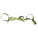 ribbon green