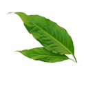 5b