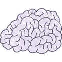 OneofaKindDS_Super-Genius_Brain