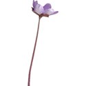 OneofaKindDS_Super-Genius_Flower 05