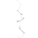 bows tied white