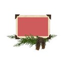 frame pinecones