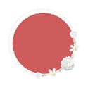 white flower frame