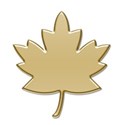 Maple 3