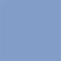 Cornflower 1