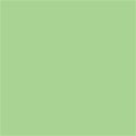 Lime 1