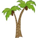 Palm Tree