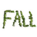 fall