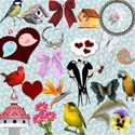 Birds of a Feather Kit Cover