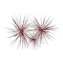 fireworksred