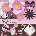 Pink Daisies
