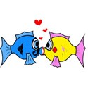 fish in love