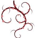 decoration spring swirl
