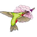 bird mystical