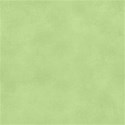 bg77 (175)