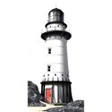 cape reigan light house copy