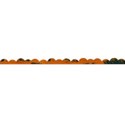 cala_orange_border copy