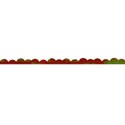cala_red_border copy