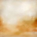 (5)