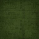 PP26_camp_mlivanos