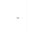 kitc_beach_seahorse