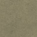 bos_sc_paper20